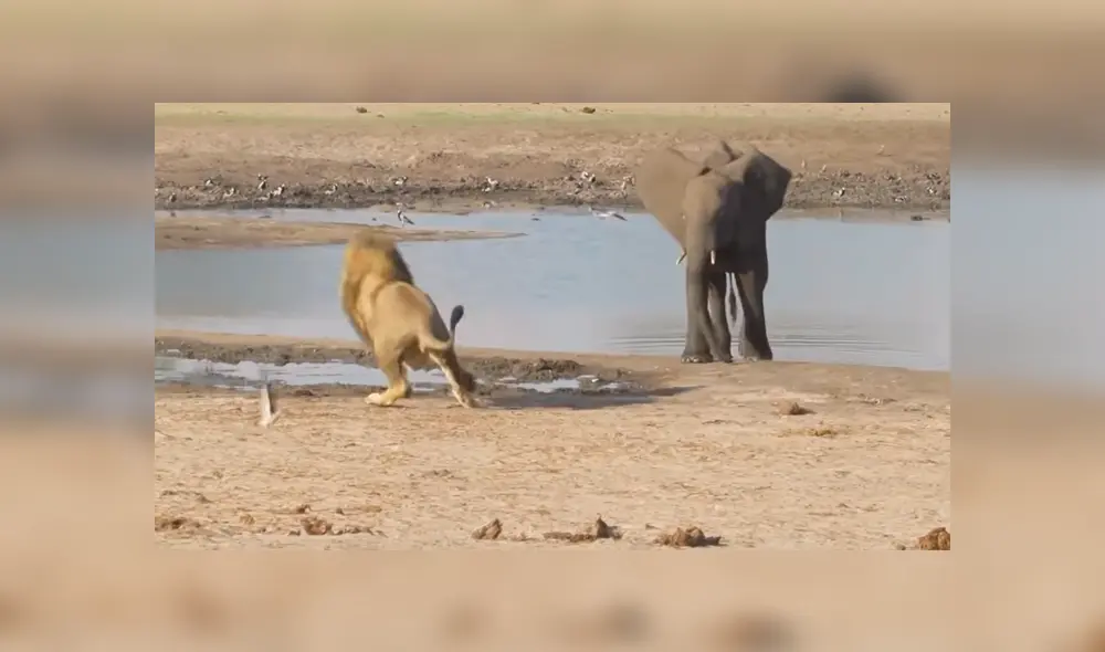 Desliza para ver el final de este video viral de YouTube. Foto: Captura.