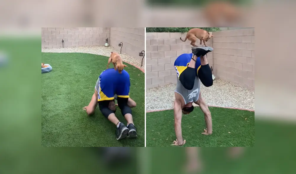 A través de YouTube se hizo viral el momento en que un joven realiza unas asombrosas acrobacias junto a su dueño.
