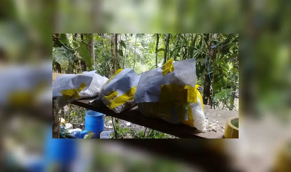 Cusco: destruyen tres laboratorios de pasta básica de cocaína en el Vraem