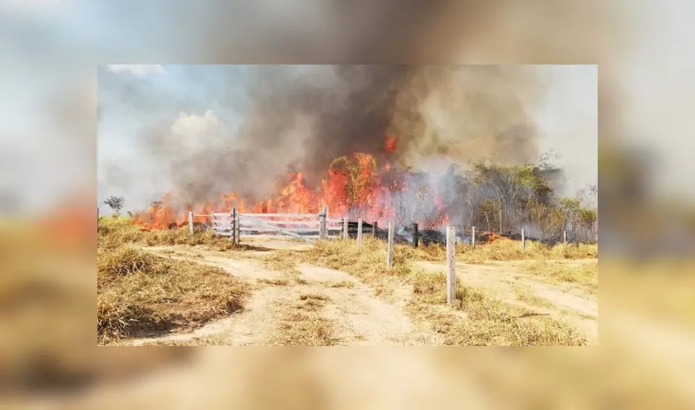 COER atendió este sábado seis incendios forestales en Iñapari, Iberia, Tampopata, Laberinto e Inambari. (Foto: Alcaldía de Iñapari)