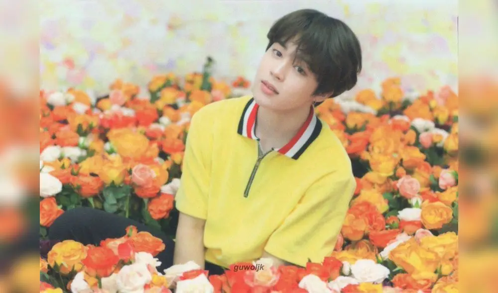 Jimin de BTS se corona en nueva encuesta de preferencias surcoreanas.