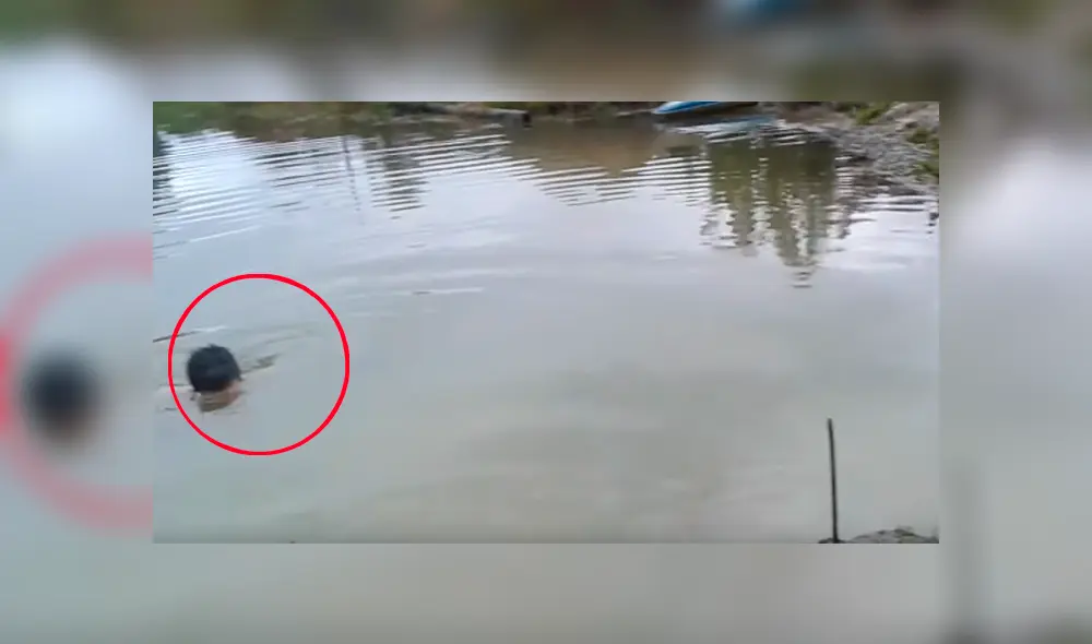 Vía Facebook. El can vigilaba atentamente a su dueño mientras se bañaba en un lago de gran profundidad hasta que percibió que algo malo pasaba Vía Facebook. El can vigilaba atentamente a su dueño mientras se bañaba en un lago de gran profundidad hasta que percibió que algo malo pasaba