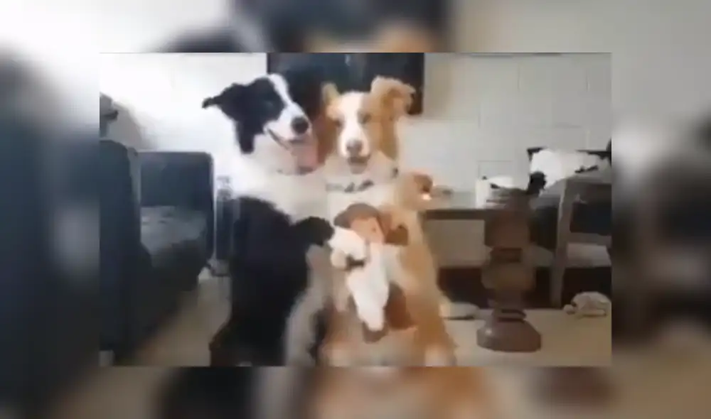 Desliza hacia la izquierda para ver más del video viral Desliza hacia la izquierda para ver más del video viral