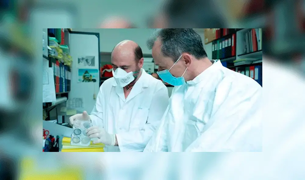 Investigadores del CNB ensayarán con animales el candidato a vacuna frente a la COVID-19. Foto: ciencia.gob.es Investigadores del CNB ensayarán con animales el candidato a vacuna frente a la COVID-19. Foto: ciencia.gob.es