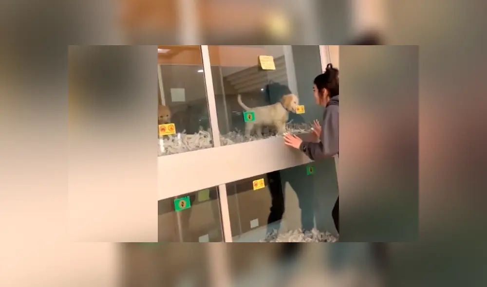 Desliza para ver todas las imágenes de Facebook. Foto: captura Desliza para ver todas las imágenes de Facebook. Foto: captura