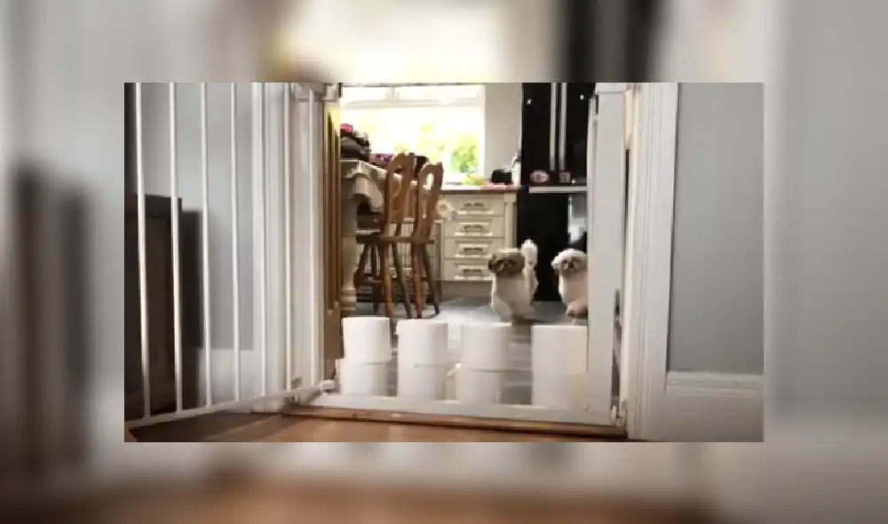 Desliza a la izquierda para ver más imágenes del peculiar video que ya es viral en YouTube.