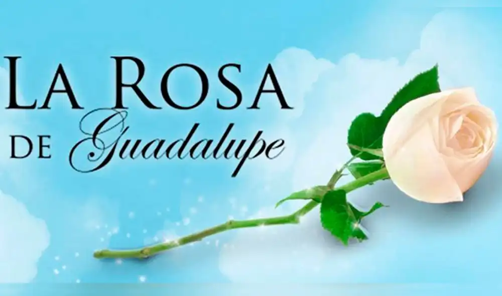 Estos son los programas preferidos por los niños, niñas y adolescentes peruanos [FOTOS]