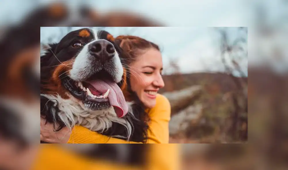 Escrito en el ADN: el amor por los perros se halla en los genes