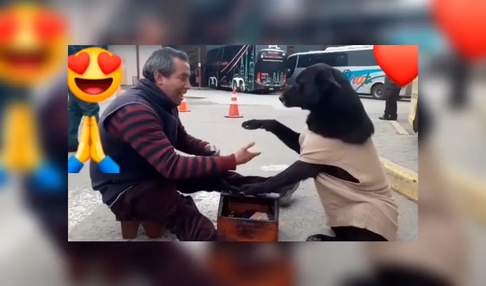 Video es viral en YouTube. El perro callejero no movía su patita de la caja de lustrar zapatos, no fue sino hasta que la limpiaron que la bajó y puso la otra. Foto: Captura. Video es viral en YouTube. El perro callejero no movía su patita de la caja de lustrar zapatos, no fue sino hasta que la limpiaron que la bajó y puso la otra. Foto: Captura.