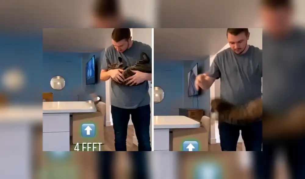 Desliza hacia la izquierda para ver el resultado del experimento que hizo un joven con su gato. Video es viral en YouTube.