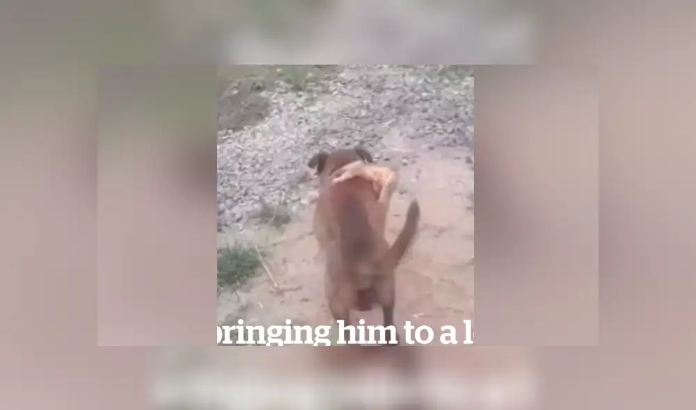 Desliza para ver los momentos más conmovedores del video que se hizo viral en Facebook.