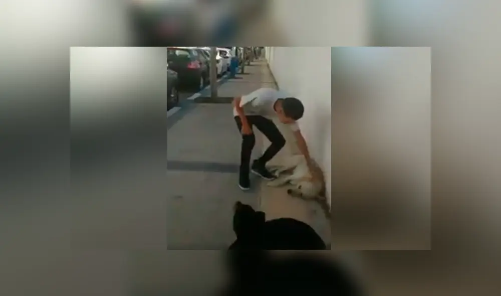 Desliza para ver los momentos más divertidos del video que se hizo viral en Facebook. Desliza para ver los momentos más divertidos del video que se hizo viral en Facebook.