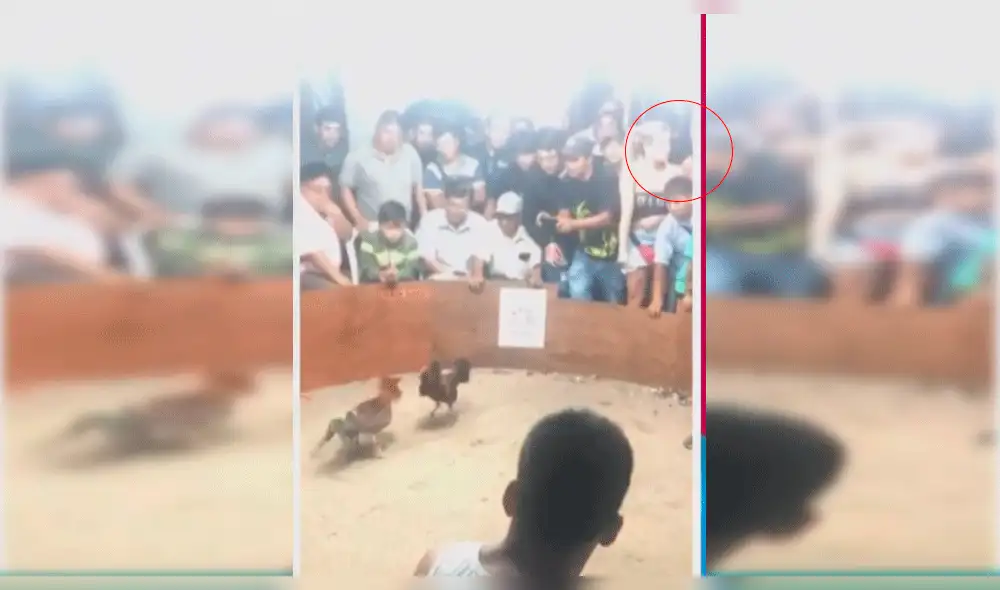 Alejandra Baigorria genera polémica por ser participe de pelea de gallos