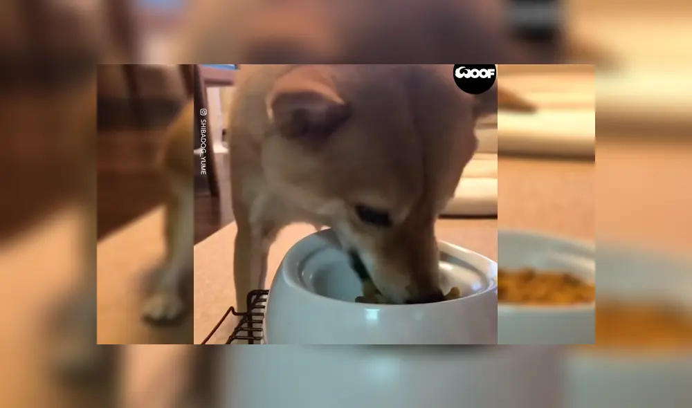 Desliza para ver el desenlace de este video viral publicado en YouTube. Foto: Captura.