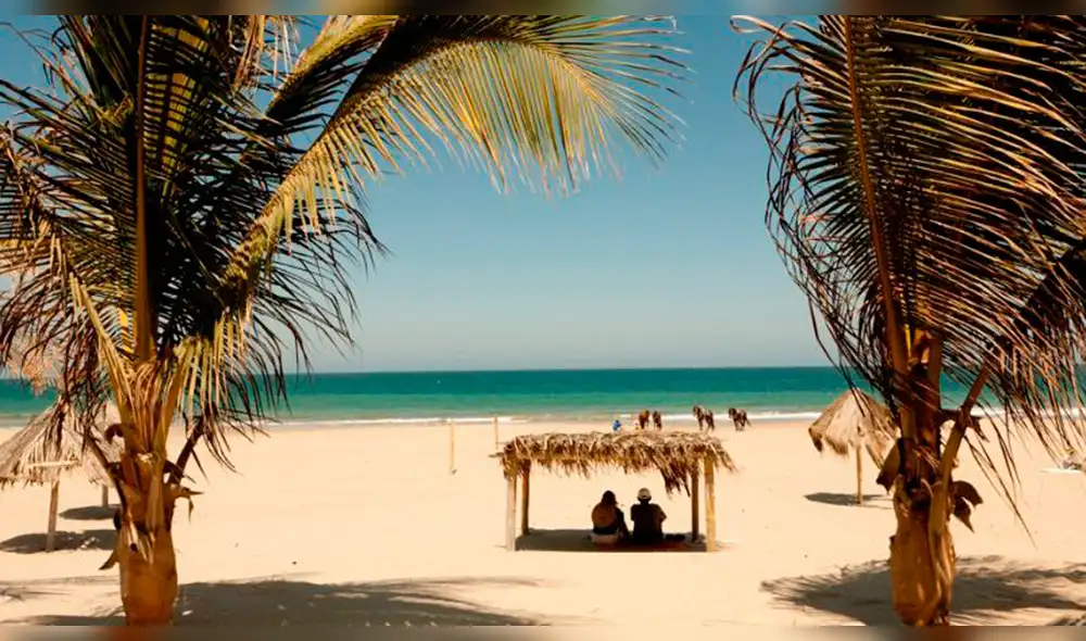 Cruz del Sur ofrecerá hasta 50% de descuento