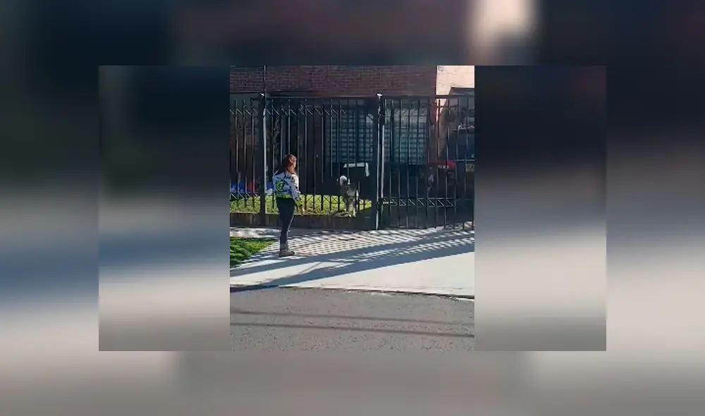 Desliza hacia la izquierda para ver más del video viral