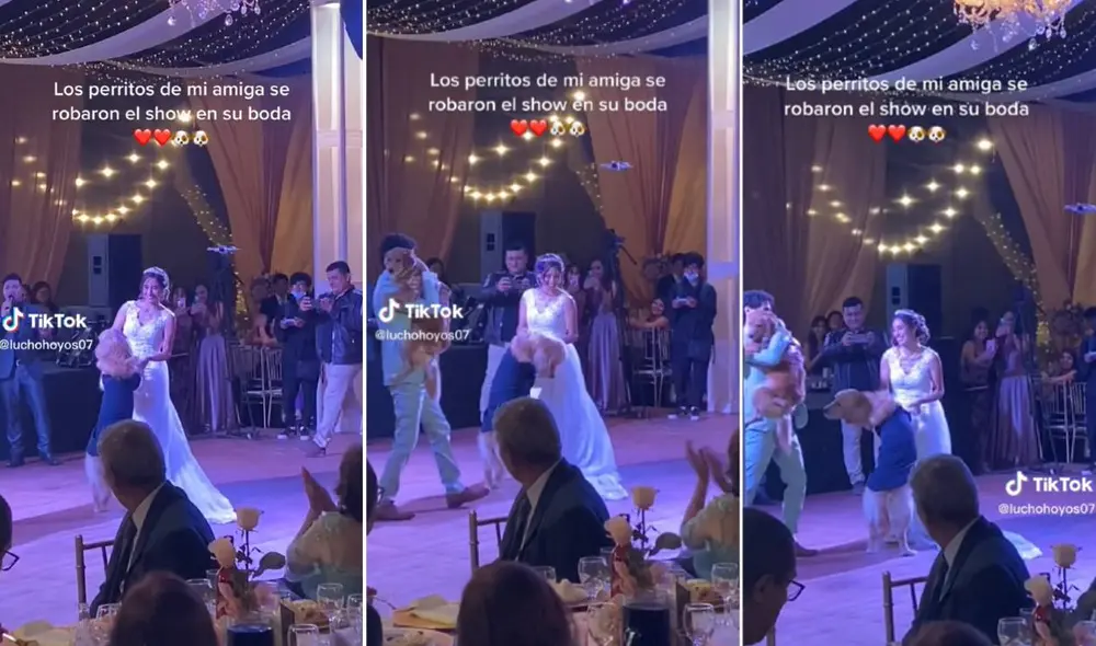 El clip ha acumulado más de dos millones de visualizaciones en TikTok. Foto: composición LR/captura de TikTok/@luchohoyos07 El clip ha acumulado más de dos millones de visualizaciones en TikTok. Foto: composición LR/captura de TikTok/@luchohoyos07