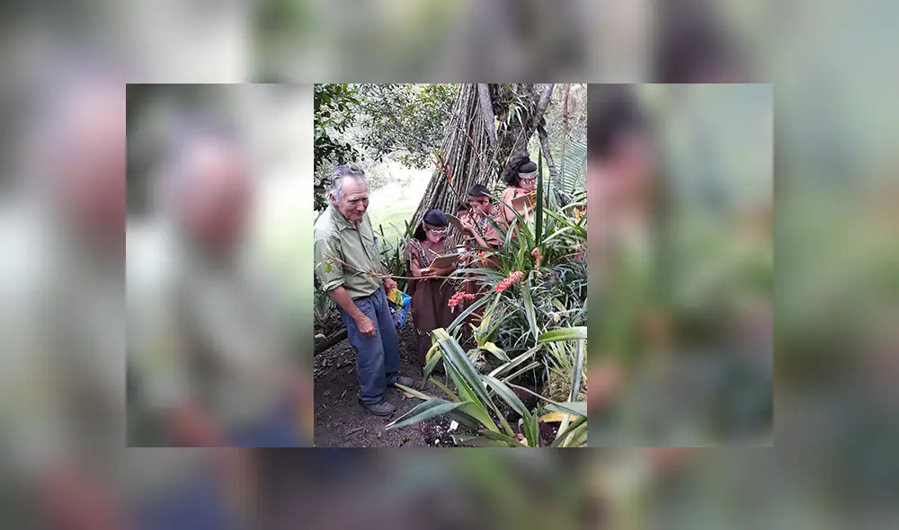 Pensión 65: Beneficiario crea orquideario y rescata 700 especies de esta flor [FOTOS]