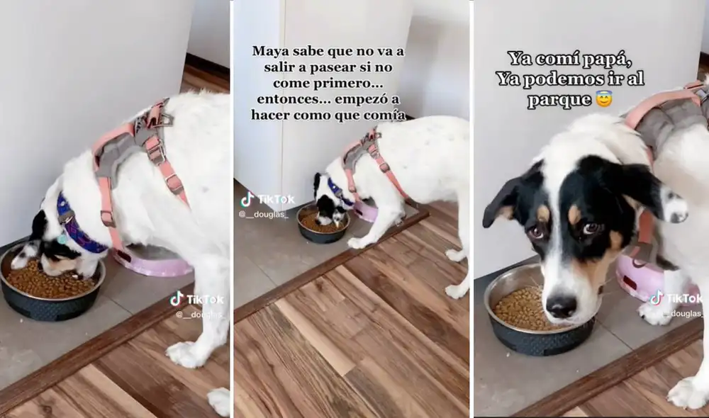 El clip ha alcanzado más de tres millones de visualizaciones en TikTok. Foto: composición LR/captura de TikTok/@__douglas_ El clip ha alcanzado más de tres millones de visualizaciones en TikTok. Foto: composición LR/captura de TikTok/@__douglas_