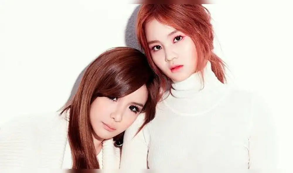 Lee Hi y Park Bom formaron un dúo durante sus días en YG Lee Hi y Park Bom formaron un dúo durante sus días en YG