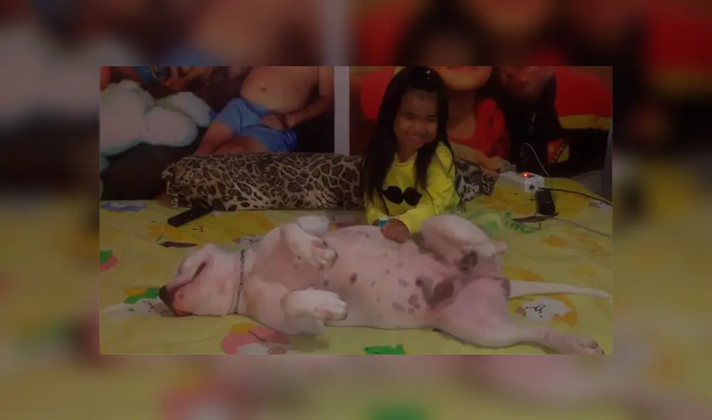 Facebook: Perro enternece las redes al disfrutar de las cosquillas de una niña [VIDEO]