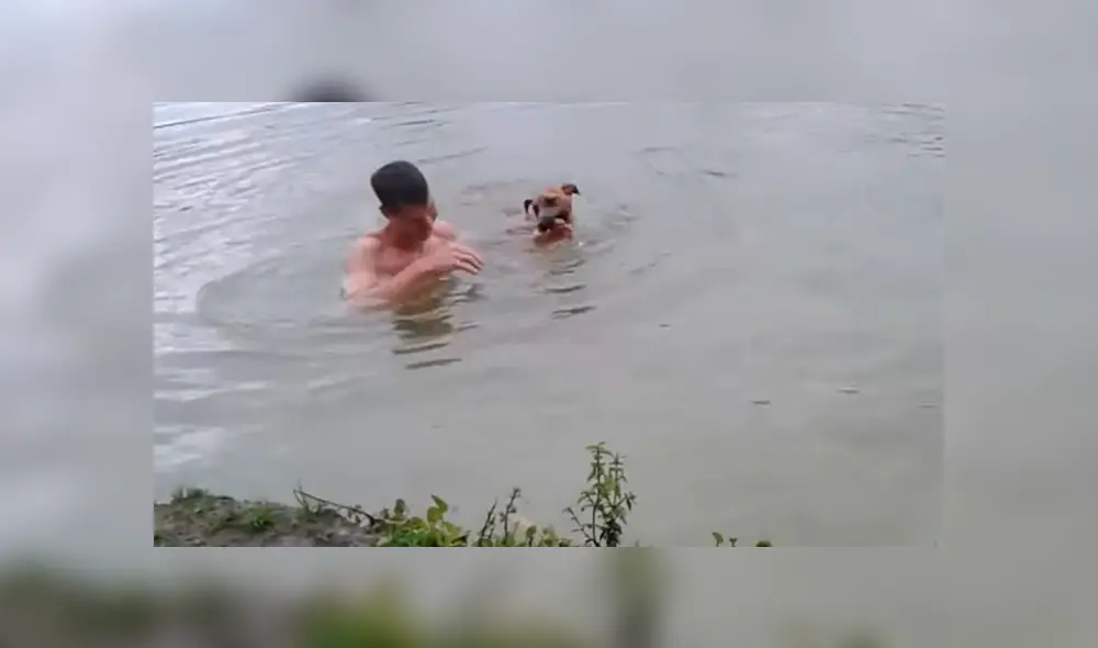 Vía Facebook. El can vigilaba atentamente a su dueño mientras se bañaba en un lago de gran profundidad hasta que percibió que algo malo pasaba Vía Facebook. El can vigilaba atentamente a su dueño mientras se bañaba en un lago de gran profundidad hasta que percibió que algo malo pasaba