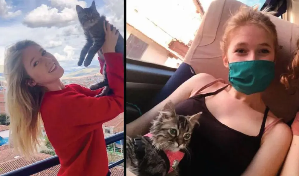 Lee fue adoptado en Cusco pero podría ser sacrificado en Bélgica. Foto: Facebook