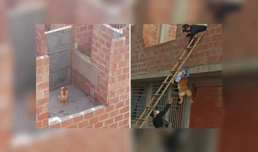 Foto: Conectados Noticias. Foto: Conectados Noticias.