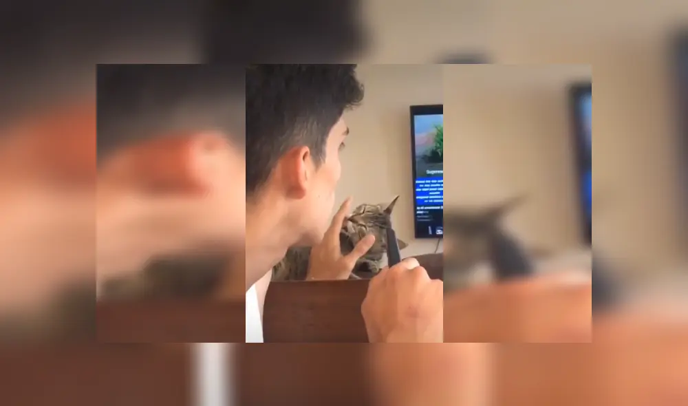 Desliza las imágenes para observar el amoroso momento que captó una joven de su gata junto a su novio. Fotocaptura: Facebook. Desliza las imágenes para observar el amoroso momento que captó una joven de su gata junto a su novio. Fotocaptura: Facebook.
