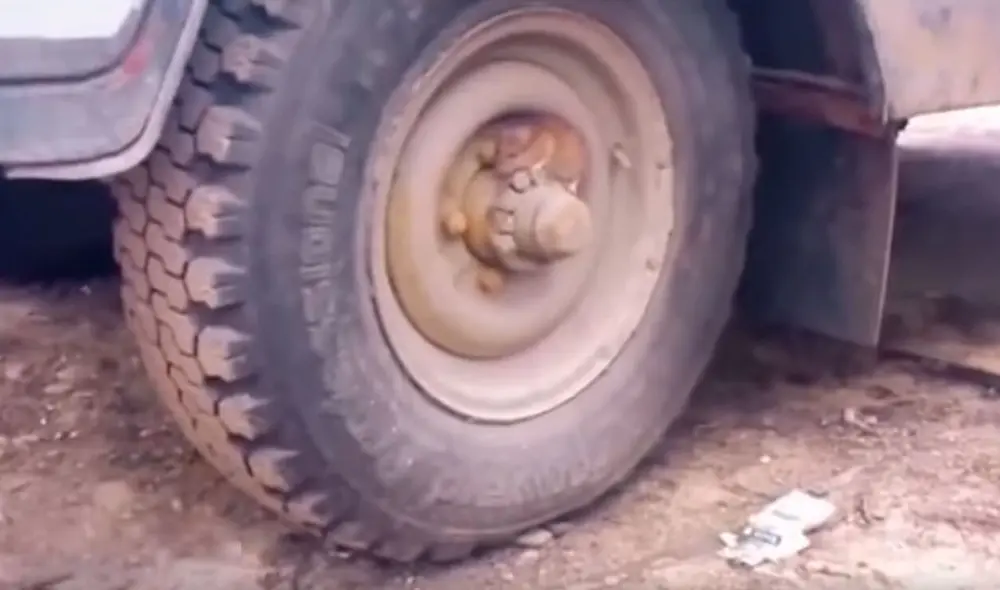 Desliza las imágenes para descubrir la rápida acción de un roedor para escapar de las garras de un gato. Foto: captura de Facebook Desliza las imágenes para descubrir la rápida acción de un roedor para escapar de las garras de un gato. Foto: captura de Facebook