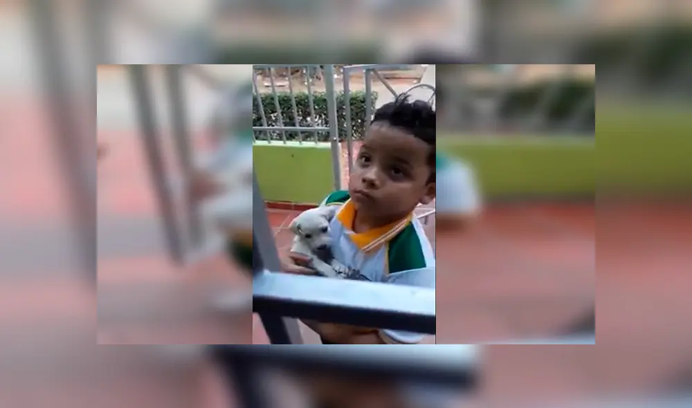 En Facebook, una señora mandó a su hijo a comprar a la tienda y él regresó con un indefenso cachorro.