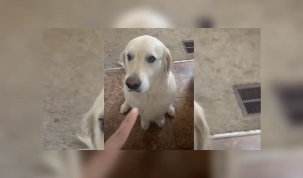 Desliza hacia la izquierda para ver más del video viral. Fotocaptura: YouTube