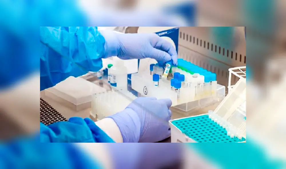 El INS espera cuenta con 25 laboratorios aptos para la realización de pruebas moleculares COVID-19. (Foto: El Peruano) El INS espera cuenta con 25 laboratorios aptos para la realización de pruebas moleculares COVID-19. (Foto: El Peruano)