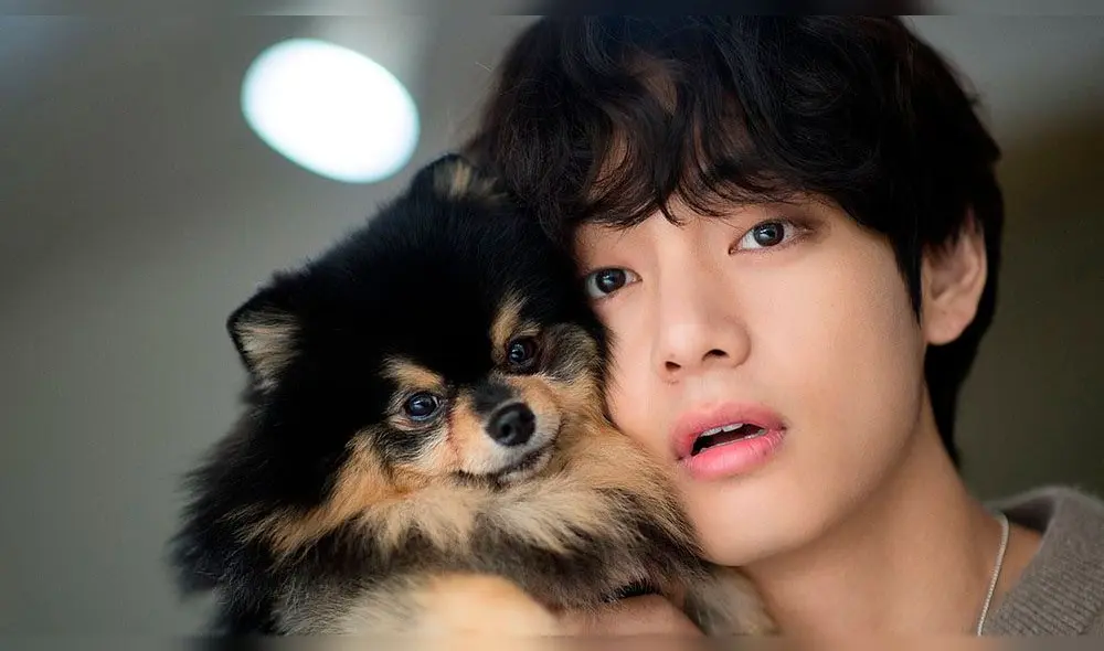 Taehyung posa junto a Yeontan para Naver x Dispatch