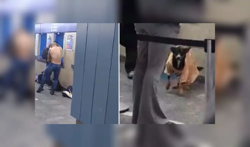 Desliza las imágenes para ver más sobre este noble gesto que se hizo viral en las redes sociales. (Foto. captura / Twitter)