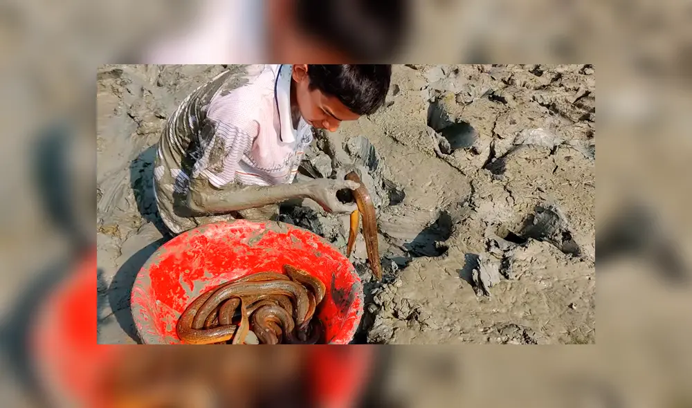 YouTube viral: joven se sumerge en estanque de fango y descubre misteriosa criatura cuyo aspecto sorprende a miles YouTube viral: joven se sumerge en estanque de fango y descubre misteriosa criatura cuyo aspecto sorprende a miles