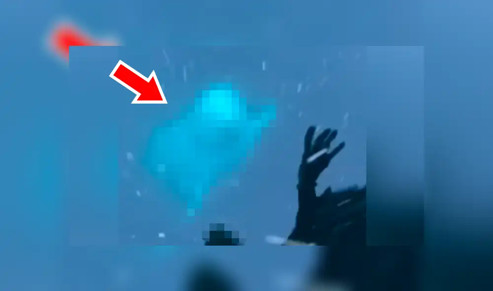 YouTube viral: Mujer deja caer su objeto más valioso al mar y enorme criatura se lo devuelve [VIDEO] 