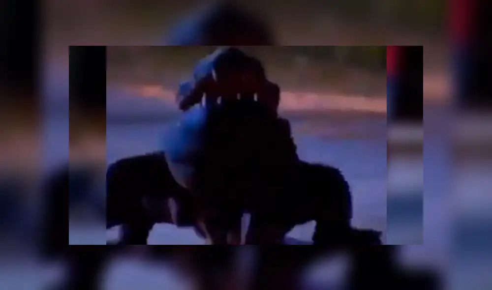 YouTube viral: perro disfrazado de cocodrilo aterra a transeúntes en un pasaje oscuro YouTube viral: perro disfrazado de cocodrilo aterra a transeúntes en un pasaje oscuro