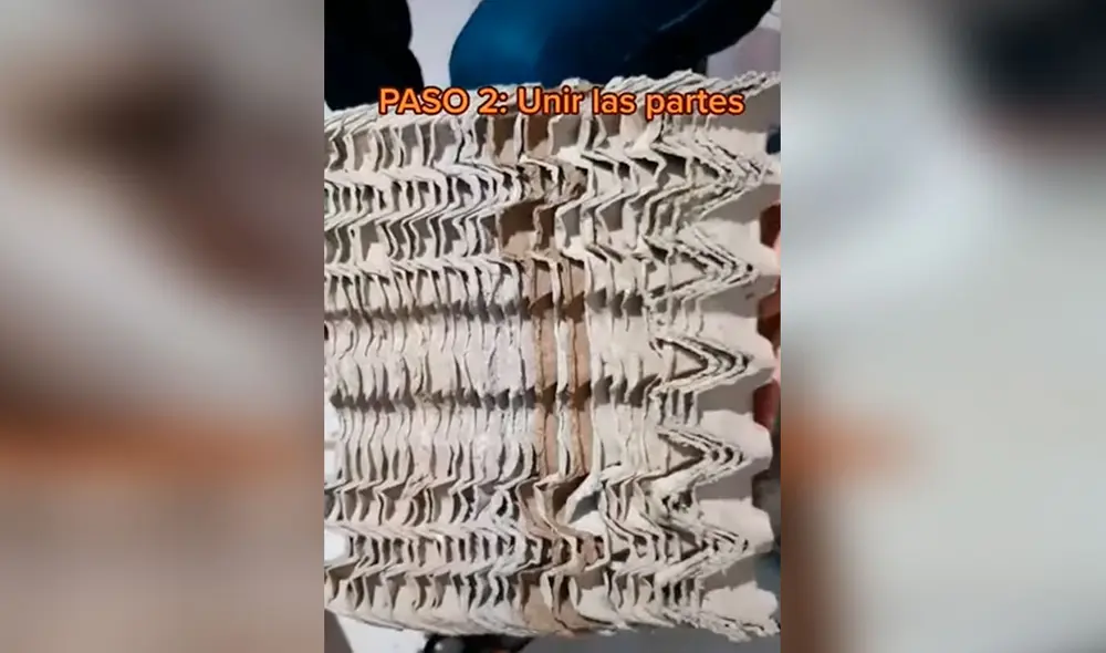 Desliza las imágenes para conocer la ingeniosa idea que tuvo una joven al fabricar un rascador para su gato. Foto: captura de TikTok