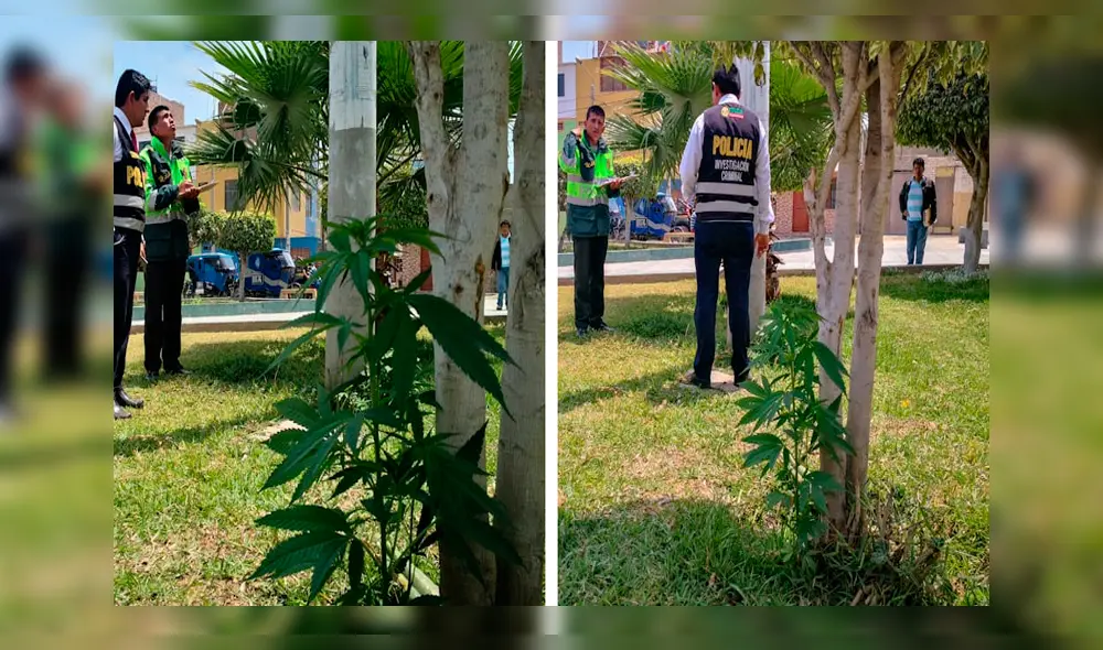 Al concurrido parque llegaron los agentes de Serenazgo y policías de la comunidad. Al concurrido parque llegaron los agentes de Serenazgo y policías de la comunidad.