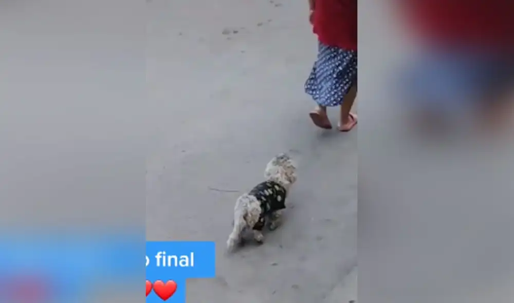 Desliza hacia la izquierda para conocer más detalles de esta conmovedora historia. Foto: captura de TikTok Desliza hacia la izquierda para conocer más detalles de esta conmovedora historia. Foto: captura de TikTok