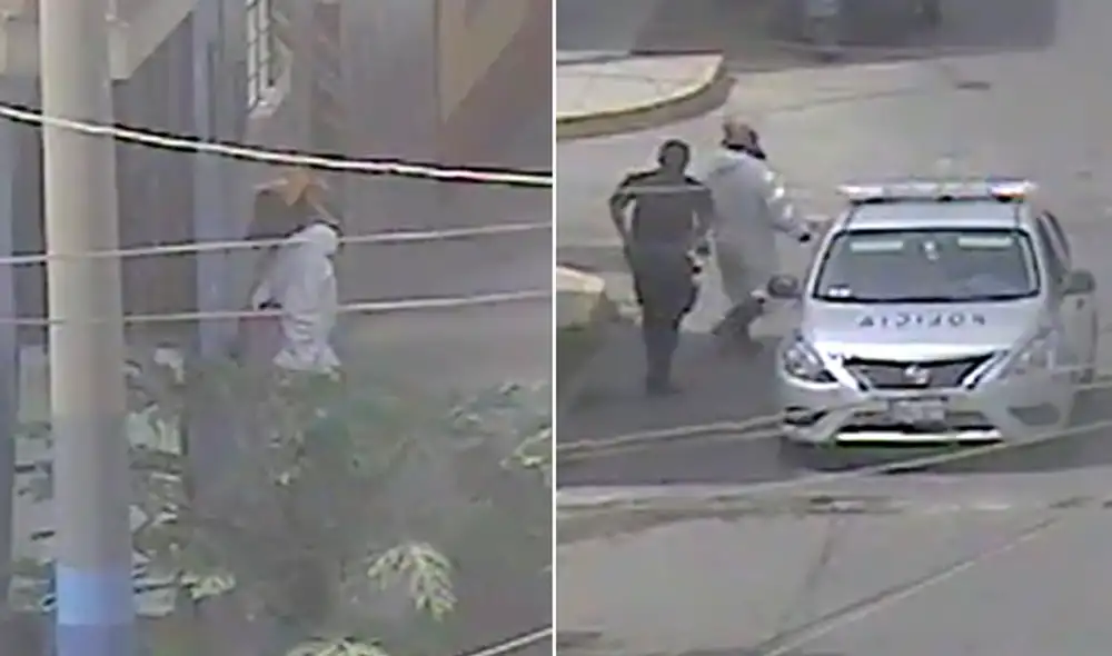 fumigadores fumigadores