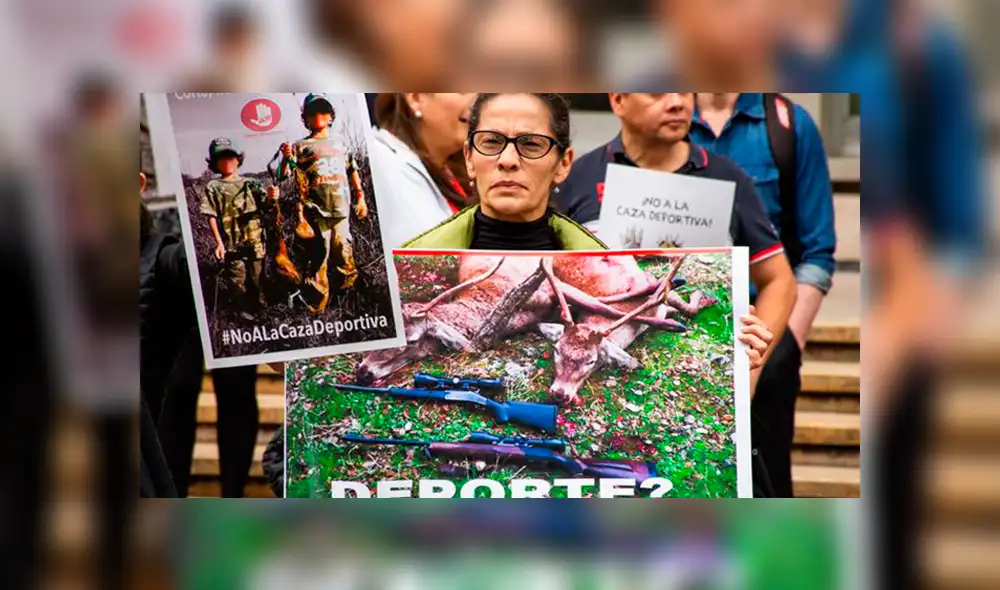 “Un país amigable con los animales”: Colombia prohíbe caza deportiva por considerarla maltrato “Un país amigable con los animales”: Colombia prohíbe caza deportiva por considerarla maltrato