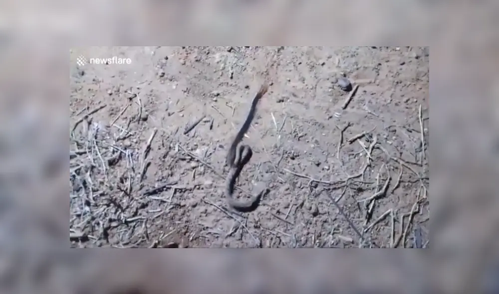 Desliza para ver los detalles del video viral de YouTube. Foto: Captura. Desliza para ver los detalles del video viral de YouTube. Foto: Captura.