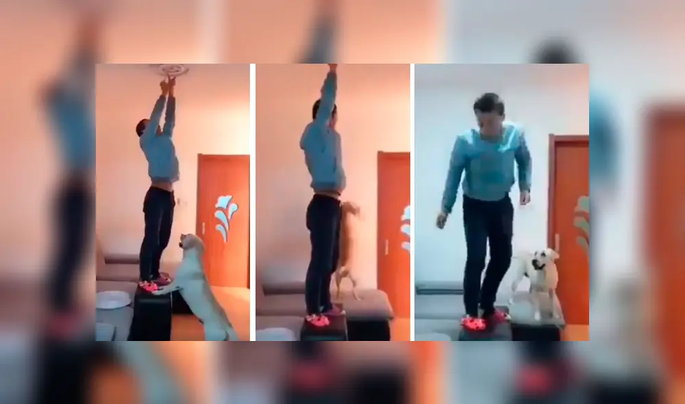 Video es viral en Facebook. El can sorprendió a más de uno al obedecer cada una de las órdenes de su dueño y permanecer con él hasta que haya terminado Video es viral en Facebook. El can sorprendió a más de uno al obedecer cada una de las órdenes de su dueño y permanecer con él hasta que haya terminado