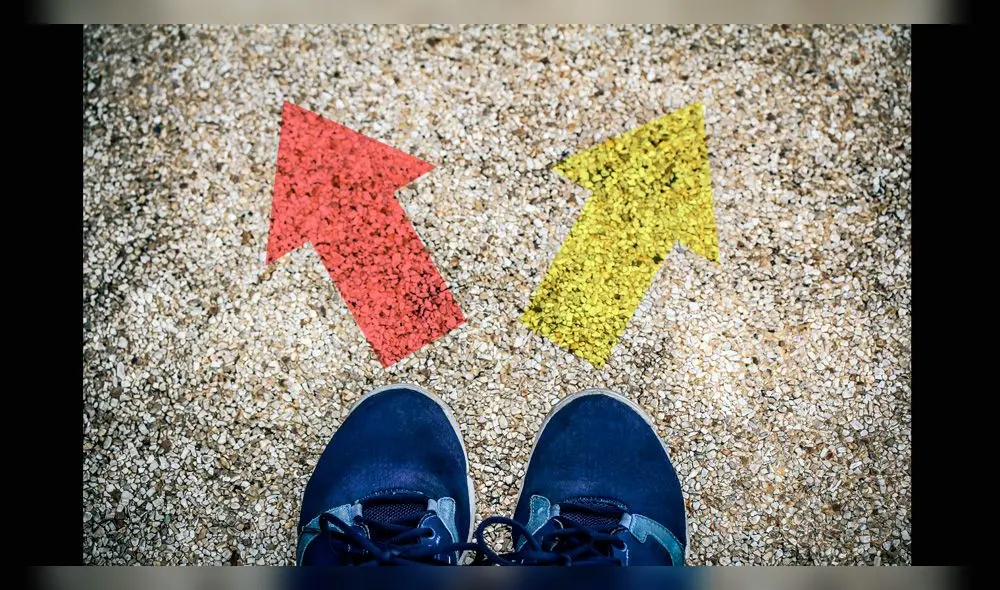 Mundo académico: Importancia de la orientación vocacional Mundo académico: Importancia de la orientación vocacional