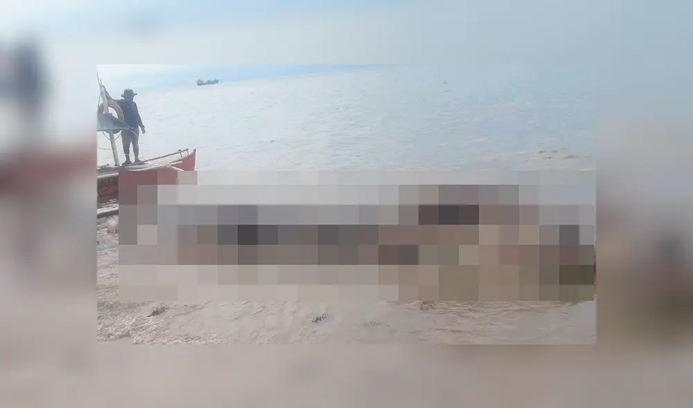 Facebook: Enorme criatura varada en la playa causa desconcierto entre científicos [FOTOS]