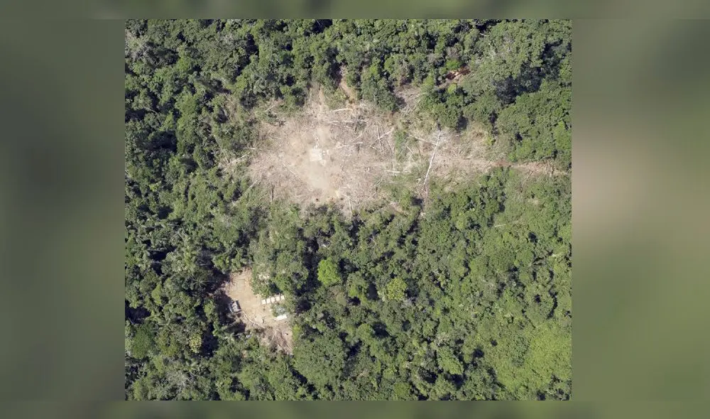 Satélites captan imágenes sorprendentes de la selva de Cusco [FOTOS]