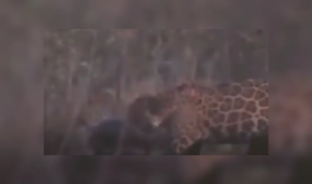 Desliza hacia la izquierda para ver las imágenes del viral de Facebook.