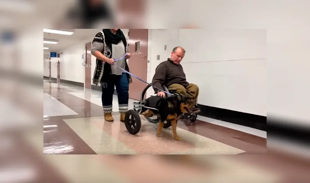 Desliza las imágenes para observar la emotiva acción del hombre al acoger a un indefenso perro que fue rechazado. Desliza las imágenes para observar la emotiva acción del hombre al acoger a un indefenso perro que fue rechazado.